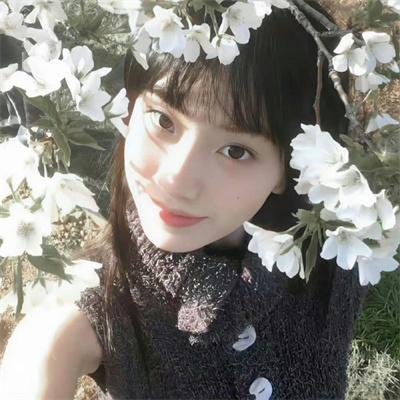 暗芝居第一季